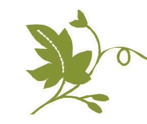 The Ivy Day Spa