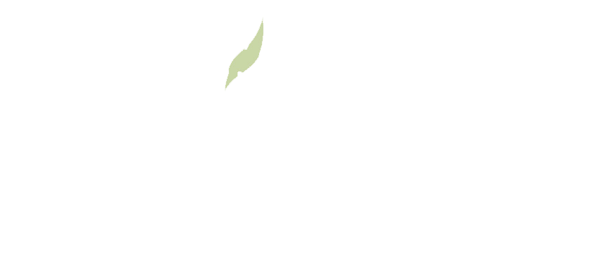Jiva Salonspa