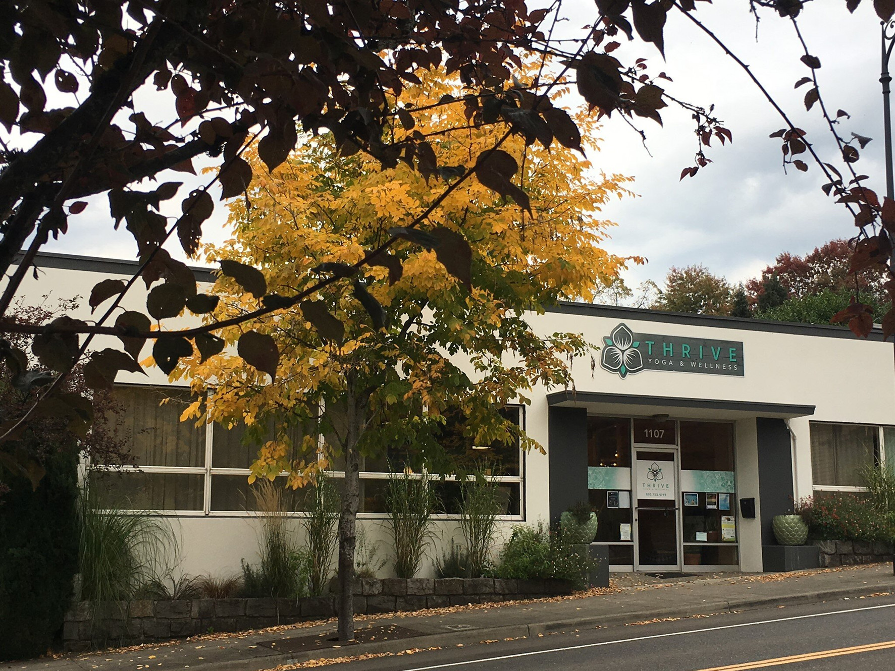 Thrive Yoga and Wellness