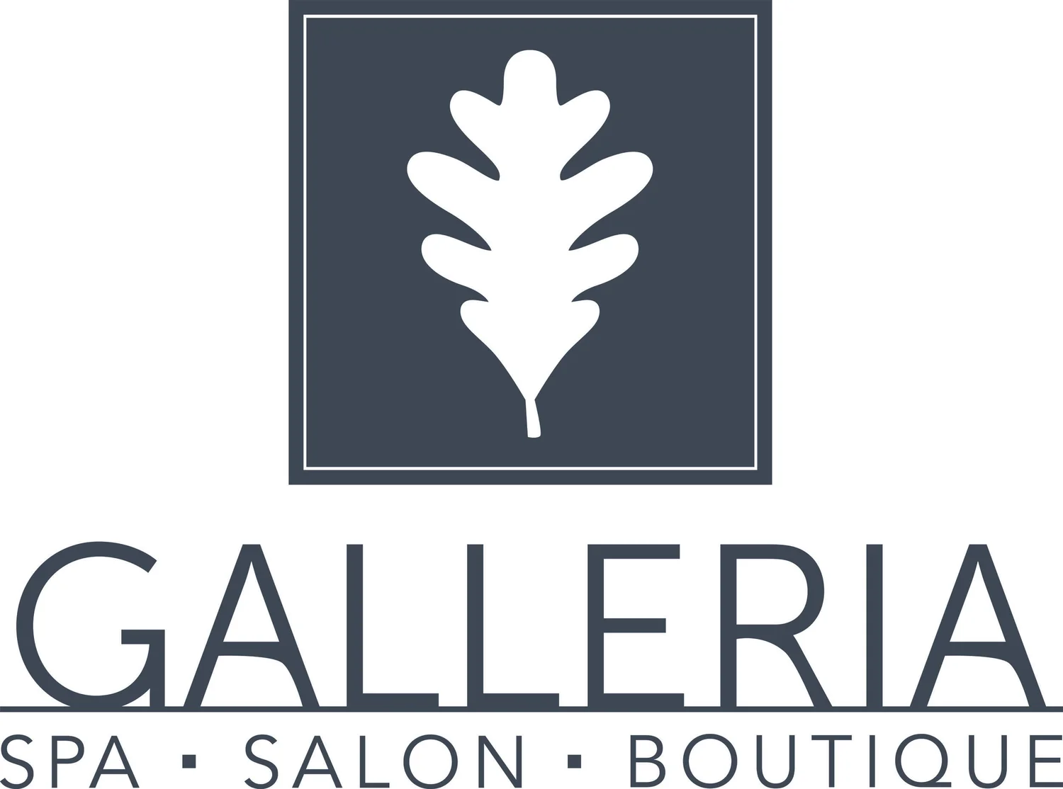 Galleria Spa Salon Boutique