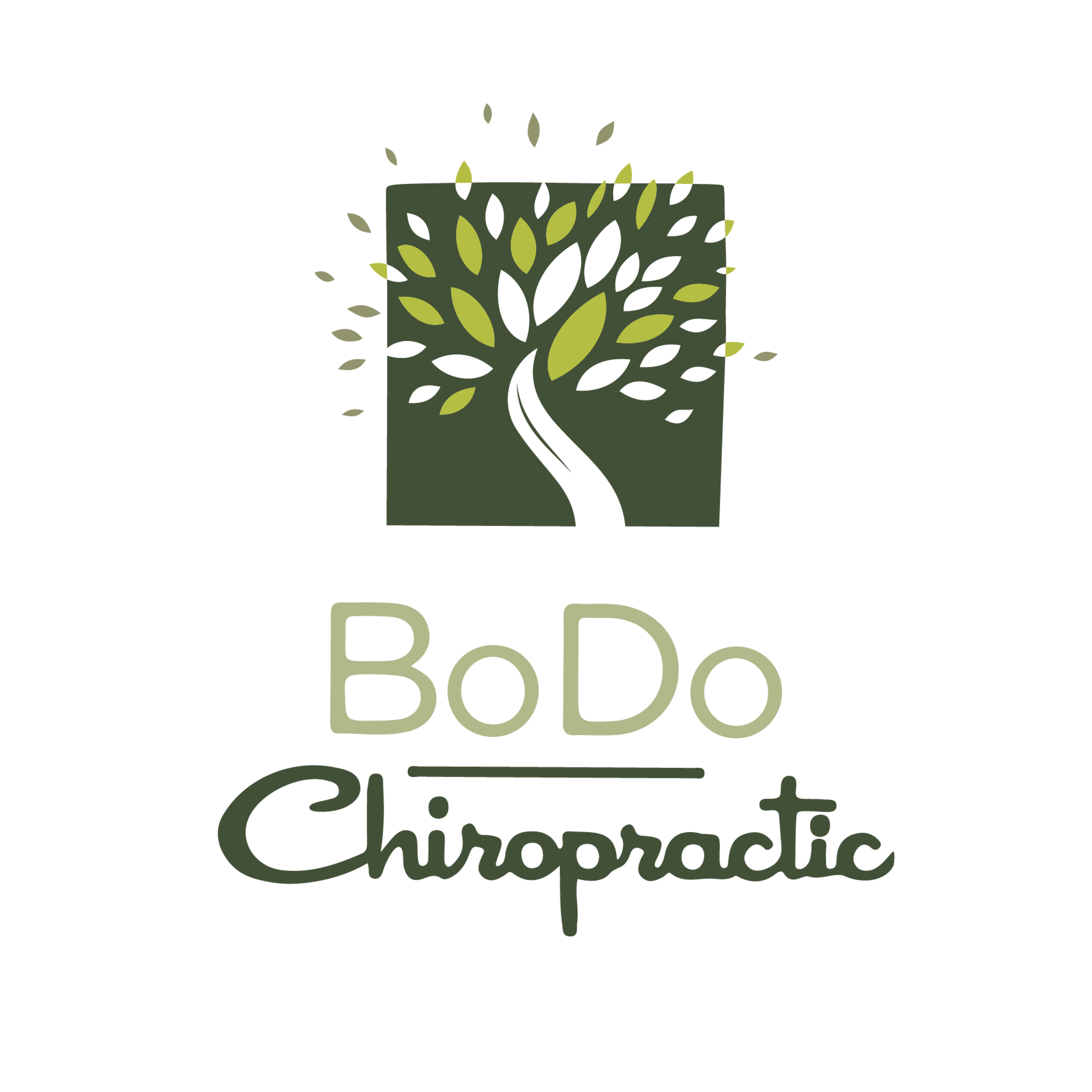 BoDo Chiropractic