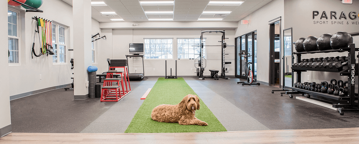 Paragon Sport Spine & Wellness