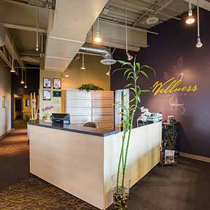 The Wellness Center