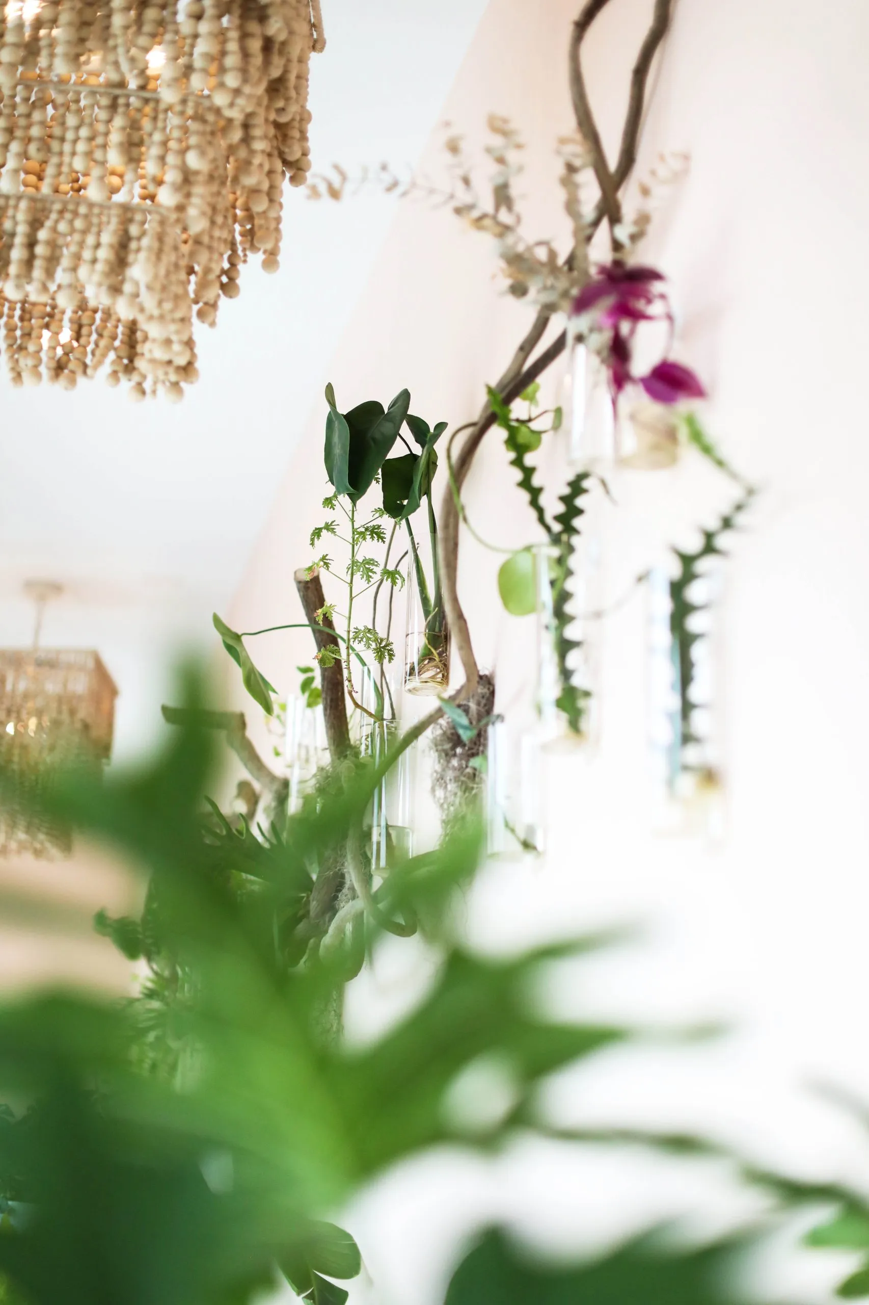 Scents of Serenity Organic Spa