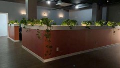 Cupping (One Session) | 30 min - Day Spa